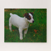 Puzzle Jack Russell Chien. (Horizontal)