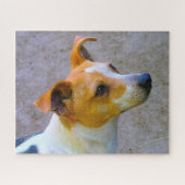 Puzzle Jack Russell Chien. (Horizontal)