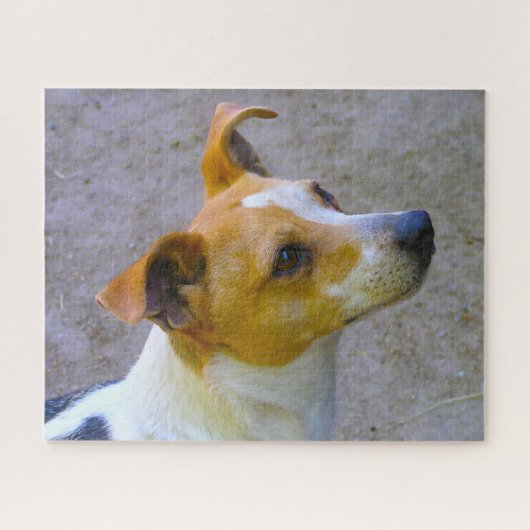 Puzzle Jack Russell Chien. (Horizontal)