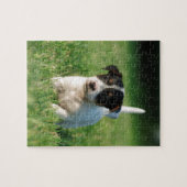 Puzzle Jack Russell Terrier puppy (Horizontal)