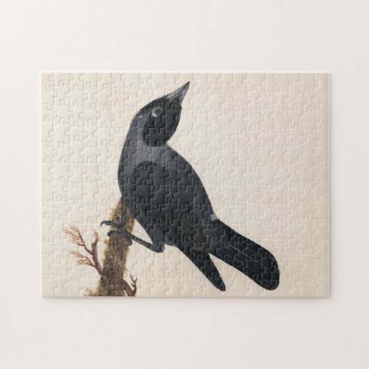 Puzzle Jackdaw | William Lewin (Horizontal)