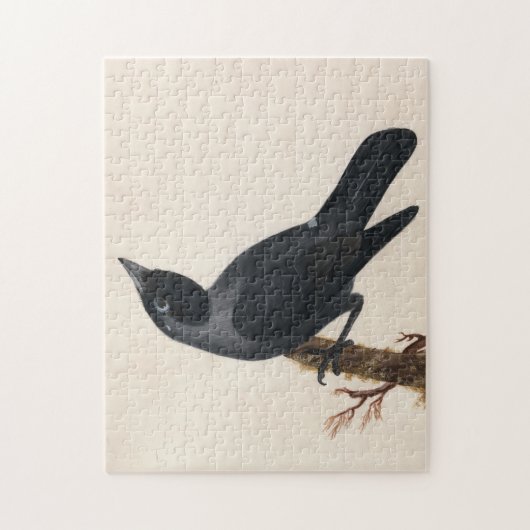 Puzzle Jackdaw | William Lewin (Vertical)