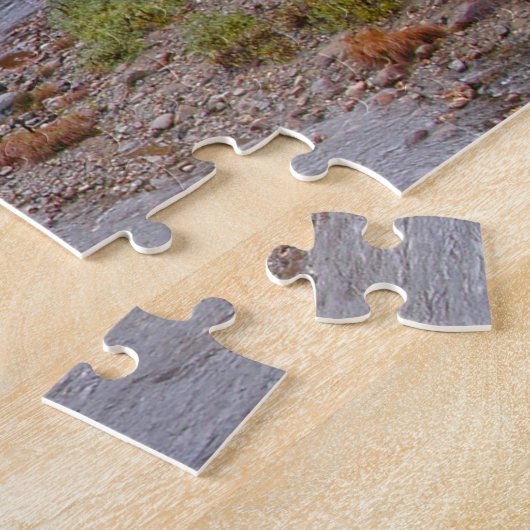 Puzzle Jackson New Hampshire. (Côté)