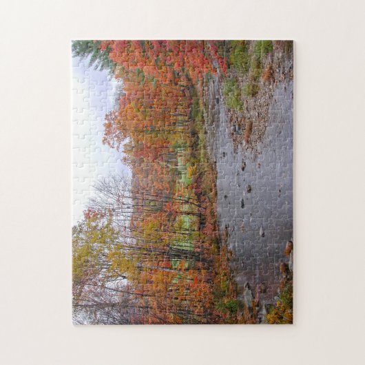 Puzzle Jackson New Hampshire. (Vertical)