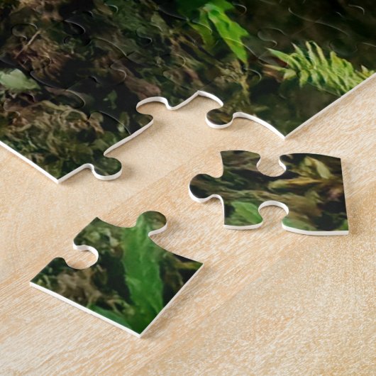 Puzzle Jade Waters of Alta Verapaz (Côté)