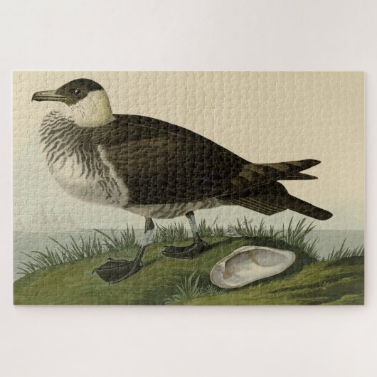 Puzzle Jager (Pomarine Jaeger) Audubon's Birds of America (Horizontal)