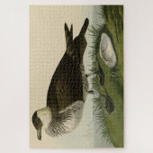 Puzzle Jager (Pomarine Jaeger) Audubon's Birds of America (Vertical)