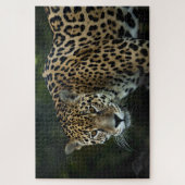 Puzzle Jaguar (Vertical)