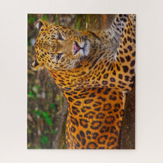 Puzzle Jaguar Big Cats. (Vertical)