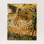 Puzzle Jaguar Big Cats. (Vertical)
