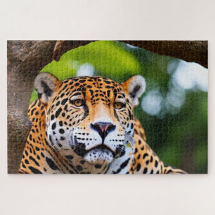Puzzle Jaguar Dans Un Arbre