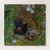 Puzzle Jaguars In Love (Horizontal)