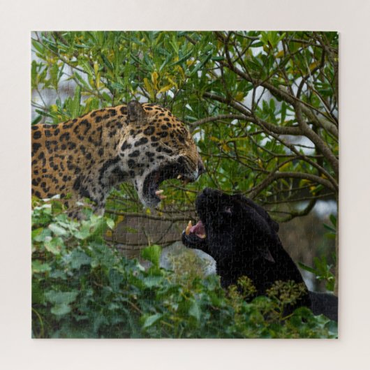 Puzzle Jaguars In Love (Vertical)