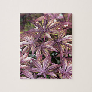 Puzzle Japanese Maple Leaves