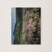 Puzzle Jarbridge Wilderness and Mountains, Nevada, Spur (Vertical)