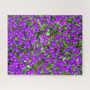 Puzzle Jardin aux fleurs violettes (*Challenging)
