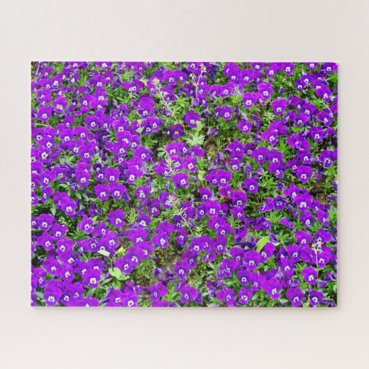Puzzle Jardin aux fleurs violettes (*Challenging) (Horizontal)