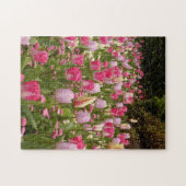 Puzzle Jardin aux tulipes ! (Horizontal)