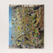 Puzzle Jardin Birds of Saskatchewan (Vertical)