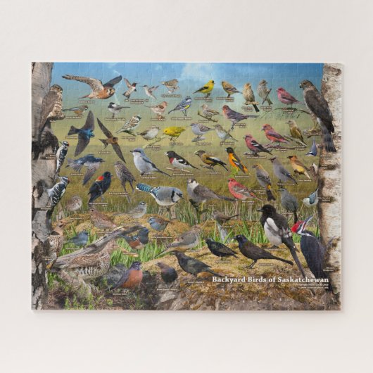 Puzzle Jardin Birds of Saskatchewan (Horizontal)