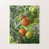 Puzzle Jardin Cherry Tomates Nature (Vertical)