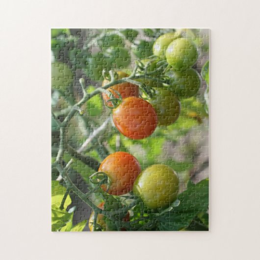 Puzzle Jardin Cherry Tomates Nature (Vertical)