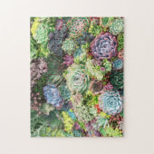 Puzzle Jardin coloré Succulent (Vertical)