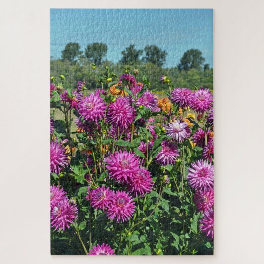 Puzzle Jardin dahlia violet (Vertical)