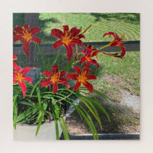 Puzzle Jardin Daylilies Fleurs Été Photo Nature