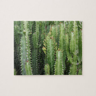 Puzzle Jardin de Cactus