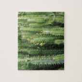 Puzzle Jardin de Cactus (Vertical)