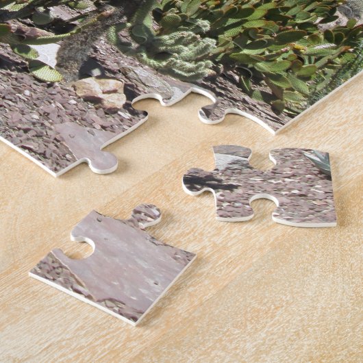 Puzzle Jardin de cactus de l'Arizona (Côté)