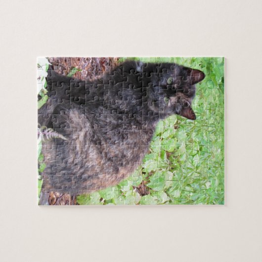 Puzzle Jardin de chat noir d'écaille (Horizontal)