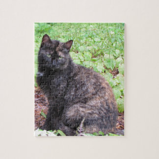 Puzzle Jardin de chat noir d'écaille