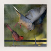 Puzzle Jardin de colombe et cardinal (Horizontal)