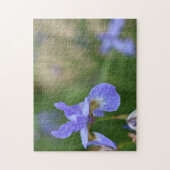 Puzzle Jardin de photos Iris Iris Fleur Nature (Vertical)