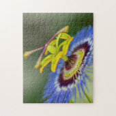 Puzzle Jardin de printemps - Fleur de passion (Vertical)