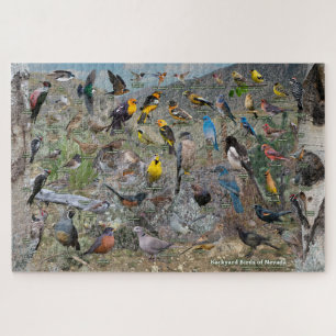 Puzzle Jardin du Nevada