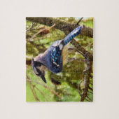 Puzzle Jardin dynamique Blue Jay - 8x10 - 110 pc. (Vertical)