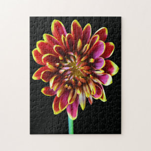 Puzzle Jardin fleuri Dahlia Bouquet d'été