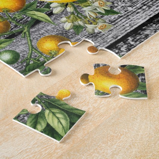 Puzzle Jardin rustique d'agrumes (Côté)