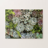 Puzzle Jardin Succulent 1 (Horizontal)