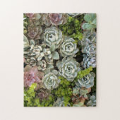 Puzzle Jardin Succulent 1 (Vertical)