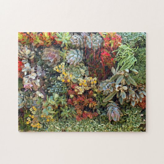 Puzzle Jardin Succulent 2 (Horizontal)