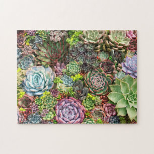 Puzzle Jardin succulent et vibre