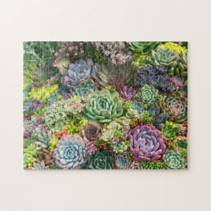 Puzzle Jardin Succulent Vibrant