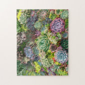 Puzzle Jardin Succulent Vibrant (Vertical)