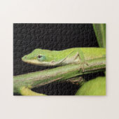 Puzzle Jardin vert mignon Anole Lizard Nature Faune (Horizontal)