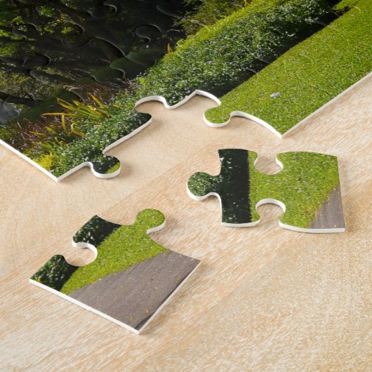 Puzzle Jardins botaniques de Singapour. (Côté)