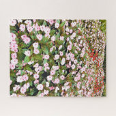 Puzzle Jardins botaniques fleurs roses NSW (Horizontal)